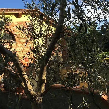 La Cantina Del Podere Dei Boni Farm stay